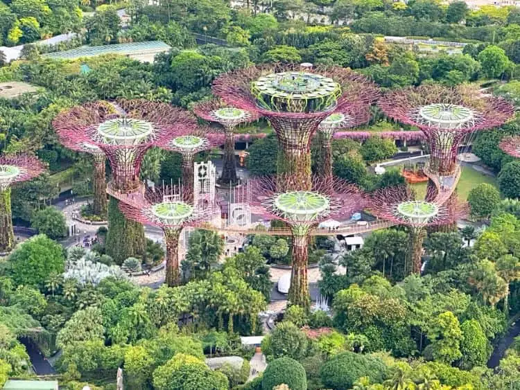 Exclusive Private Singapore Night Tour with River Cruise