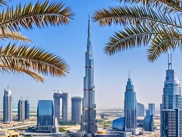 Private Dubai Half Day City Tour Immerse in Dubai Beauty