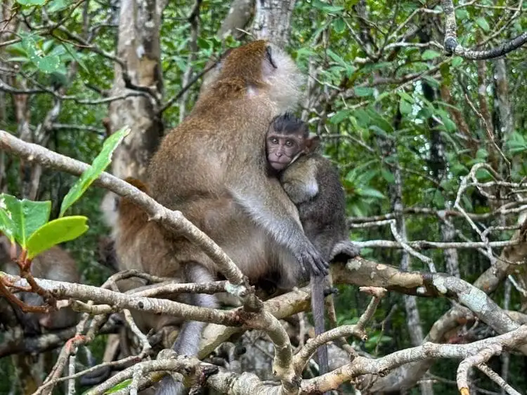 Tour image 7